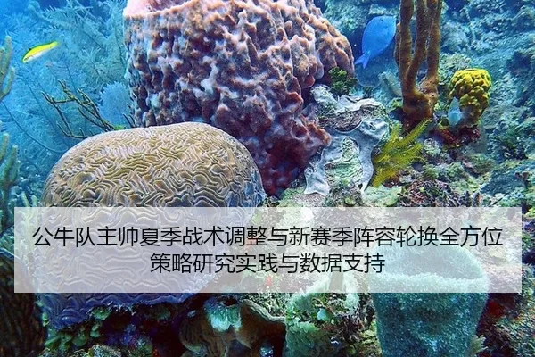 公牛队主帅夏季战术调整与新赛季阵容轮换全方位策略研究实践与数据支持