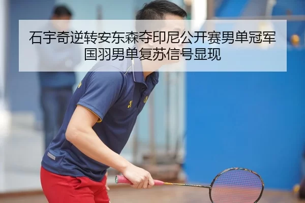shi-yu-qi-ni-zhuan-an-dong-sen-duo-yin-ni-gong-kai-sai-nan-dan-guan-jun-guo-yu-nan-dan-fu-su-xin-hao-xian-xian-2-813.jpg