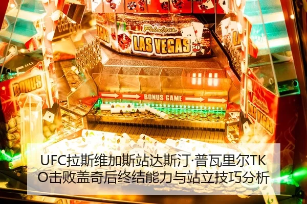 UFC拉斯维加斯站达斯汀·普瓦里尔TKO击败盖奇后终结能力与站立技巧分析