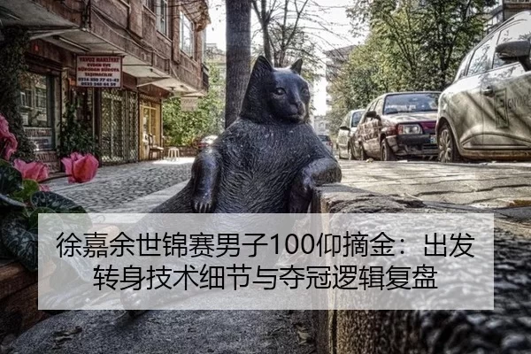 徐嘉余世锦赛男子100仰摘金：出发转身技术细节与夺冠逻辑复盘